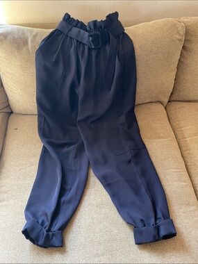 Express Navy Elastic Waist Pull-On Pants